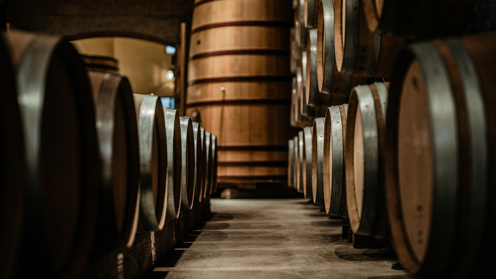 A long row of wooden casks racked in a dim cellar.