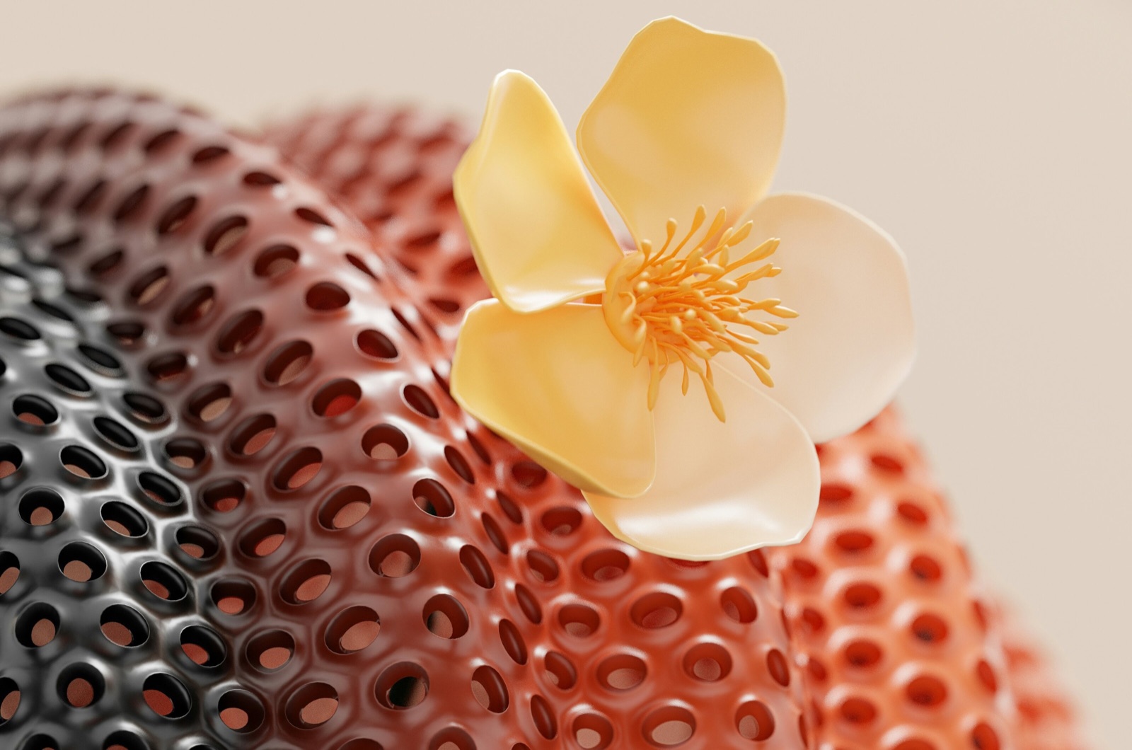A close-up 3D render of a pale yellow flower resting on a curved, perforated surface that shades from black to red, with a soft cream background behind